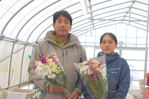 確認用 花苗 PW公式オンラインストア / PWお花カタログ2025年 10冊